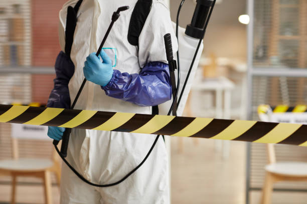 Professional Sewage Cleanup technician working in Kaweah, CA
