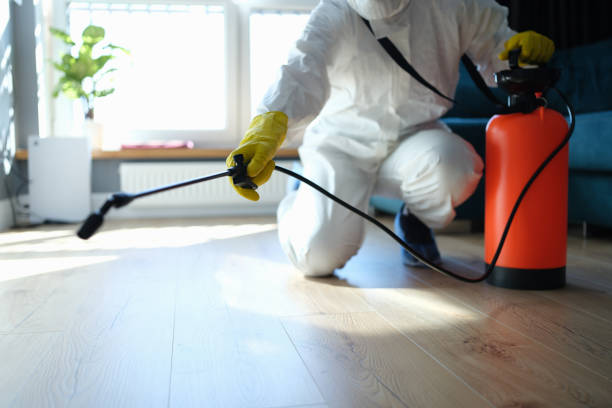 Reliable Sewage Cleanup contractor in Kaweah, CA by Trauma Clean Pros